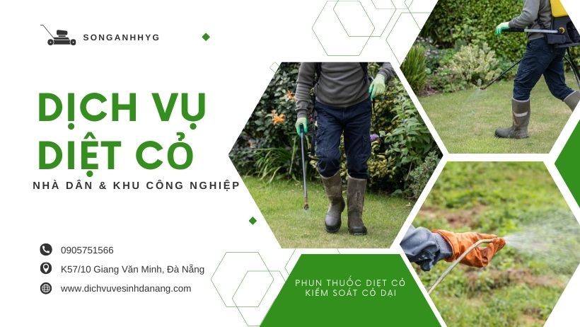 Dịch vụ phun thuốc diệt cỏ tại Đà Nẵng