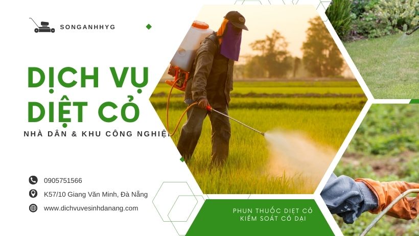 Phun thuốc diệt cỏ tại Đà Nẵng