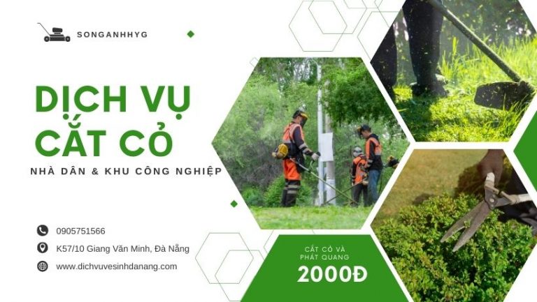 Dịch vụ cắt cỏ tại Đà Nẵng chuyên nghiệp ,giá rẻ