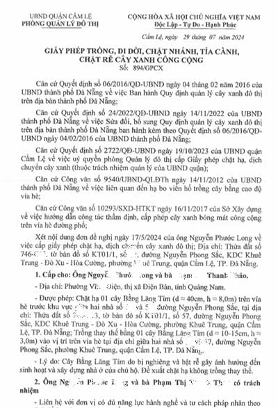 Giấy phép chặt đốn hạ, cắt tỉa cây xanh tại thành phố Đà Nẵng