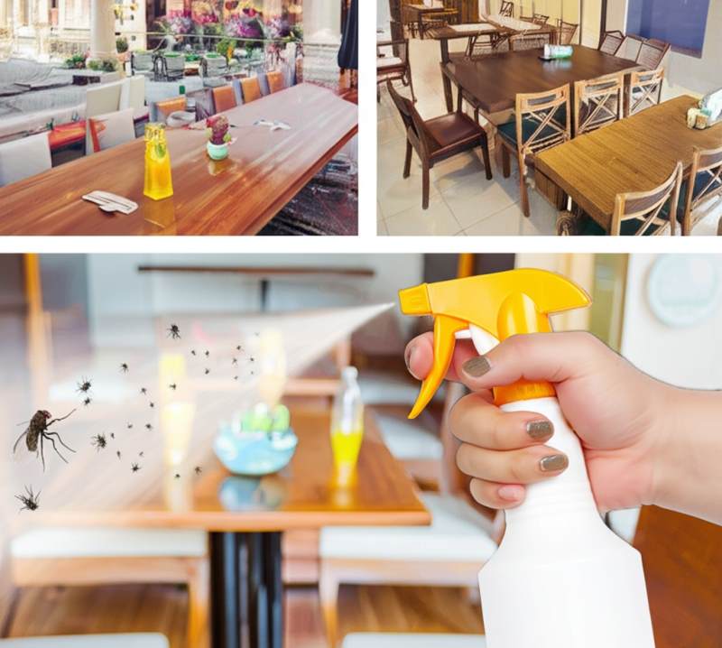 Nước xịt bàn ghế đuổi ruồi dành cho nhà hàng, quán nhậu