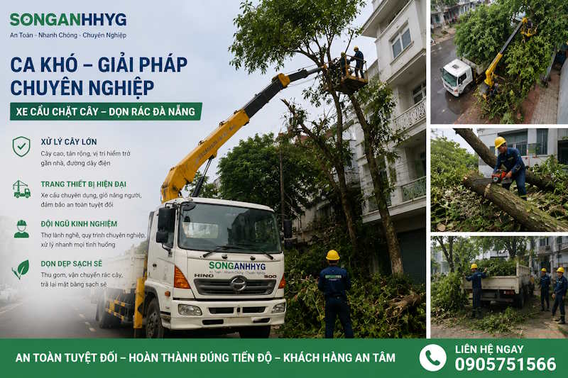 Báo Giá Cho Thuê Xe Cẩu Cắt Cây & Dọn Rác Cây Xanh Sau Bão Tại Đà Nẵng